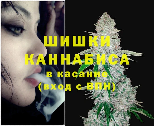 тгк Богородск