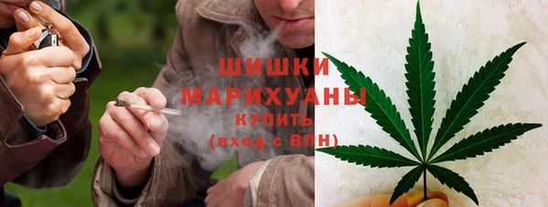 тгк Богородск