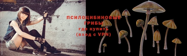 тгк Богородск