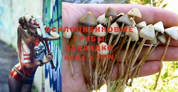 бутират Богородицк