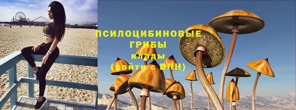 марки nbome Богданович