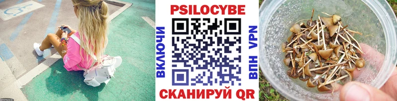Псилоцибиновые грибы Psilocybine cubensis  как найти закладки  Череповец 